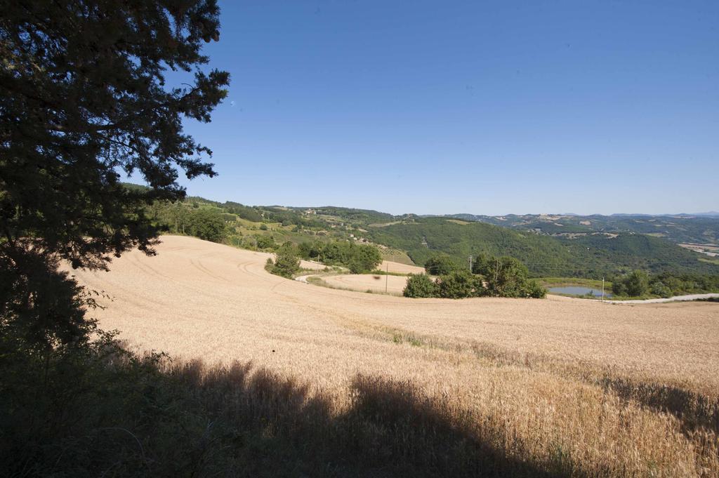 Agriturismo Tenuta Di Biscina Exteriör bild