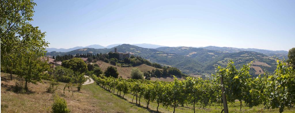 Agriturismo Tenuta Di Biscina Exteriör bild