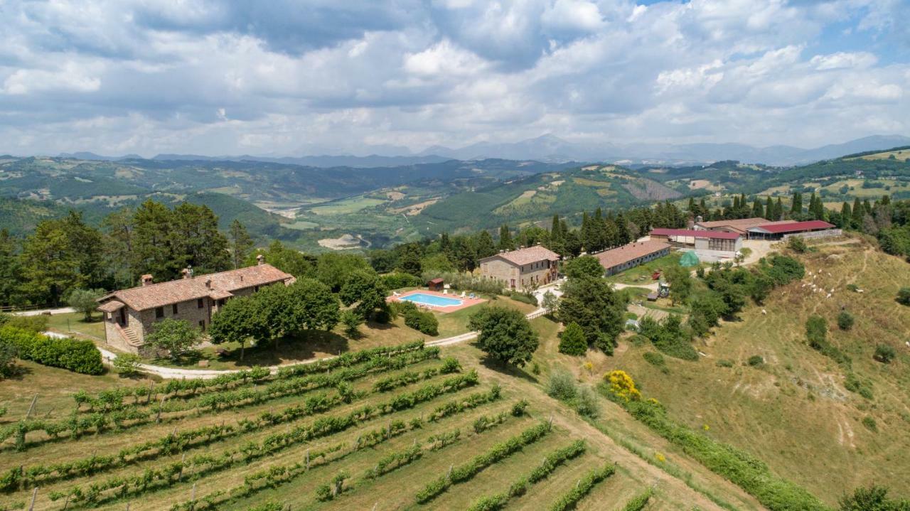 Agriturismo Tenuta Di Biscina Exteriör bild