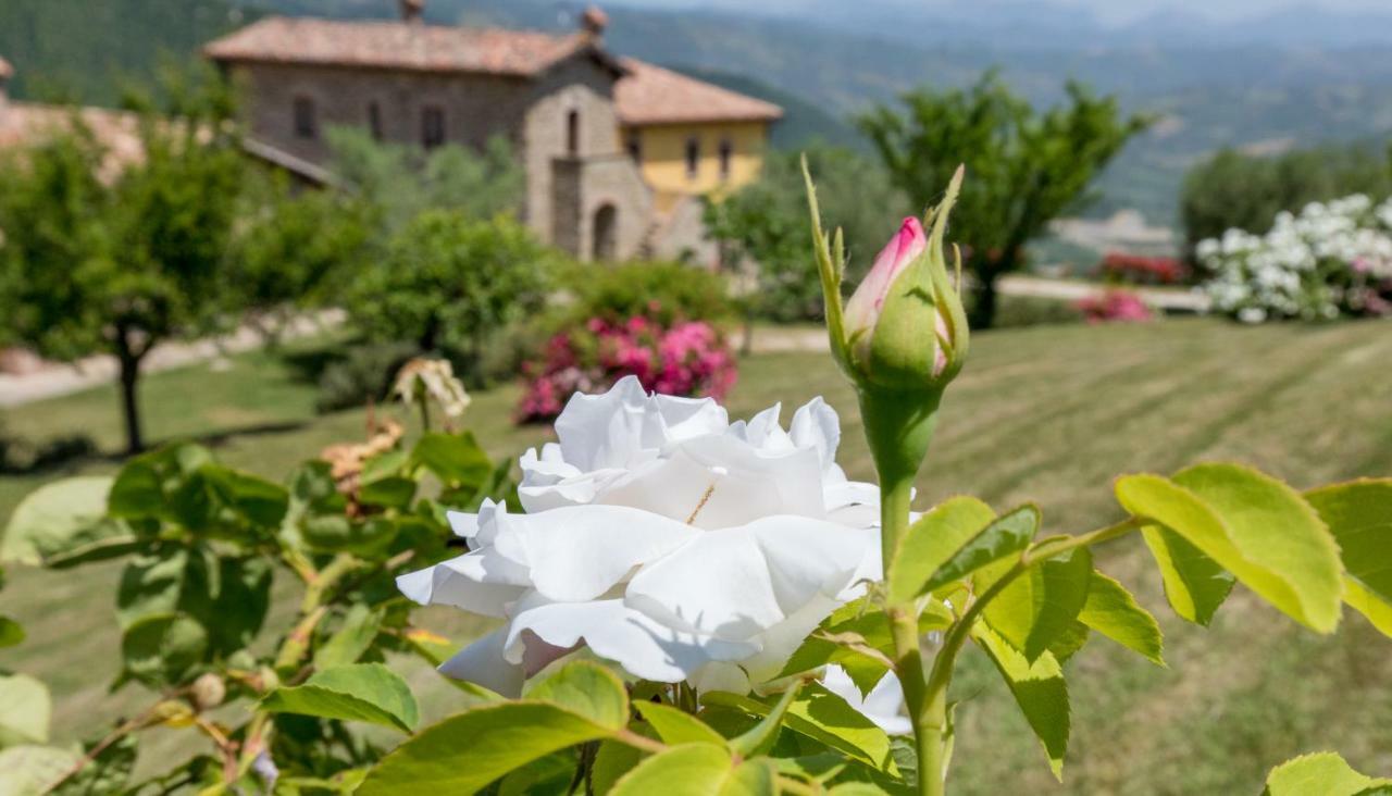 Agriturismo Tenuta Di Biscina Exteriör bild